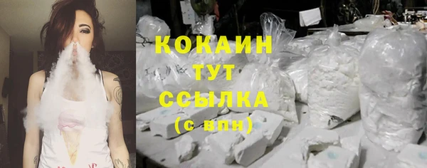 мяу мяу кристалл Бородино