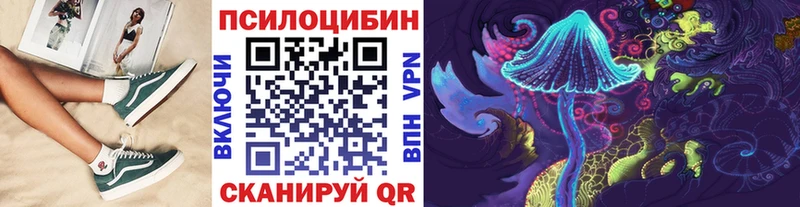 Псилоцибиновые грибы Psilocybine cubensis Гудермес